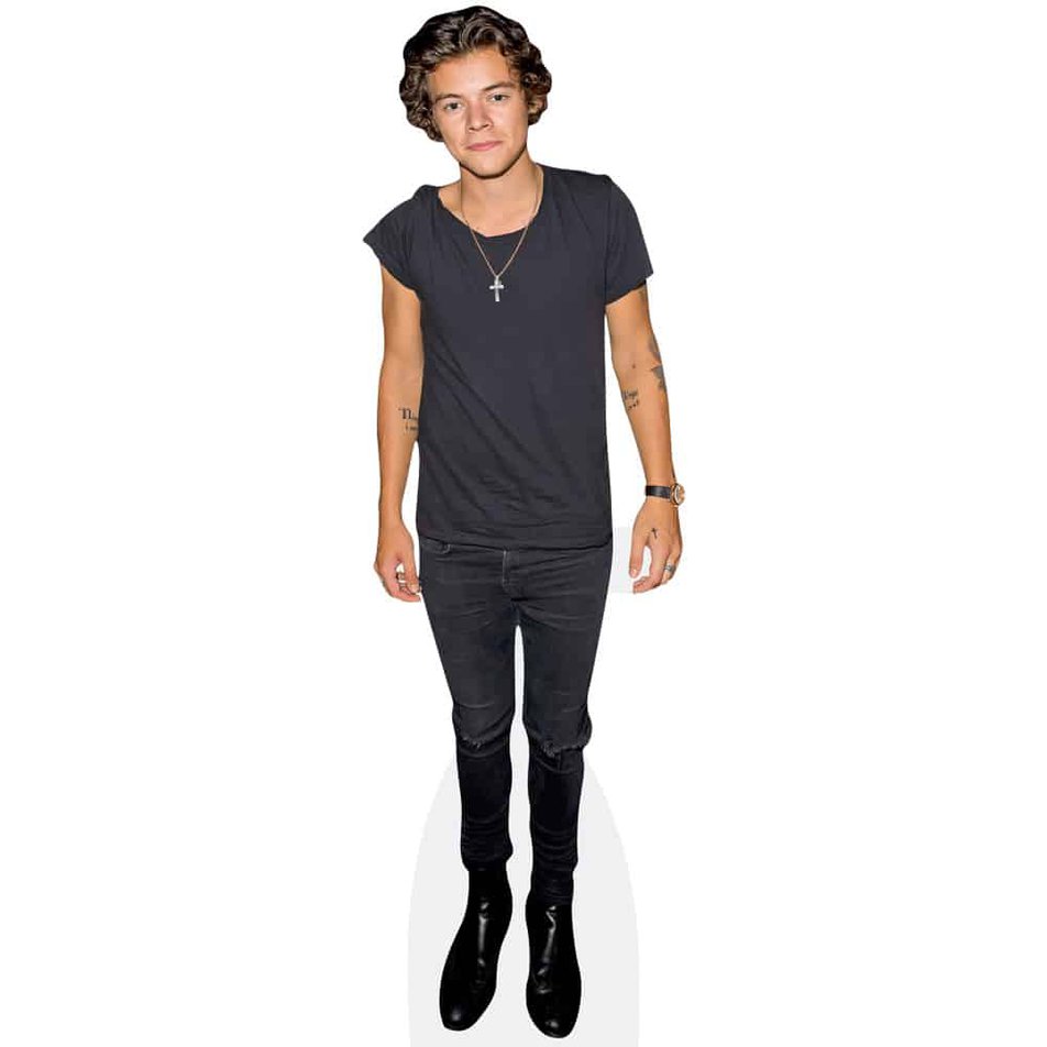 Harry Styles outlet Cardboard Cutout Bundle *NOT LIFESIZED*